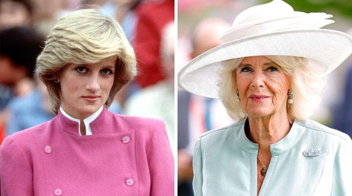 Queen Camilla still holds grudge against King Charles' first wife Diana?