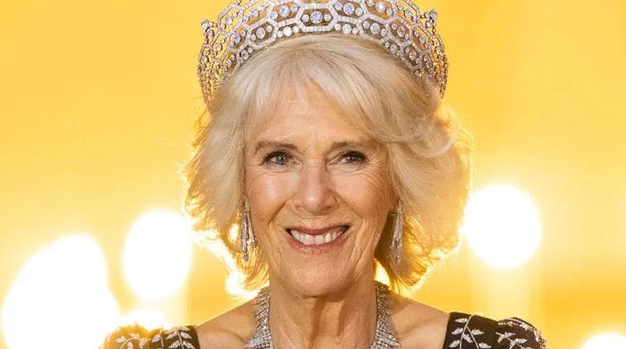 Queen Camilla has no room of ‘mercy' for stepson Harry