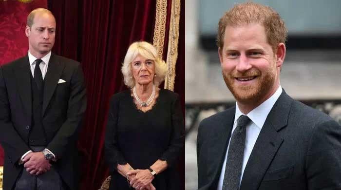 Prince William, Camilla present united front as King Charles talks to Prince Harry?