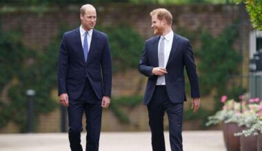 Prince Harry, Meghan Markle could be on throne?