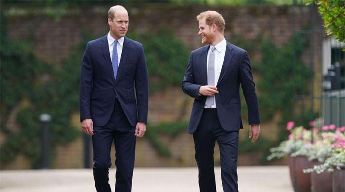 Prince Harry, Meghan Markle could be on throne?