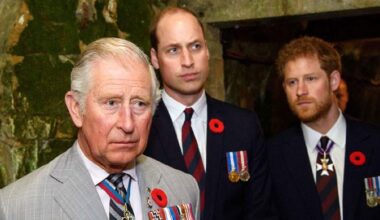 Prince Harry longs for peace with King Charles, Prince William