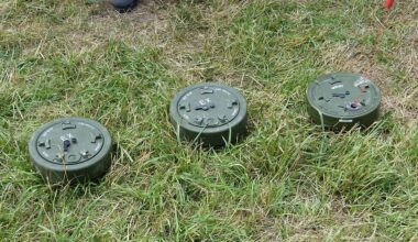 Finland and Lithuania To Start Manufacturing Landmines ━ The European Conservative