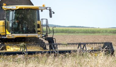 Ein Landwirt fährt mit einem Mähdrescher über ein Feld mit Bioweizen und holt die Ernte ein.