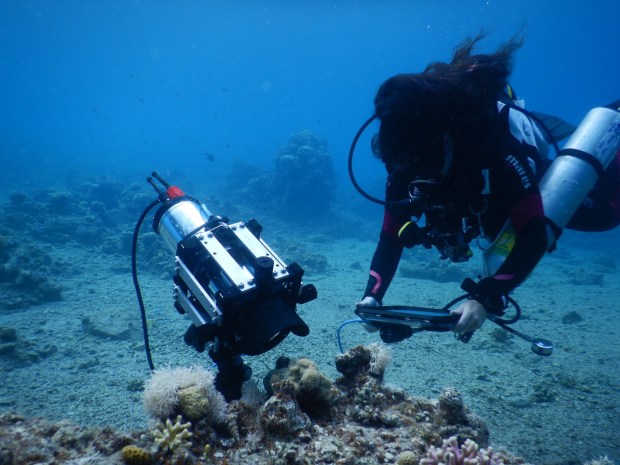 The BUMP system is deployed in the Red Sea to image and measure corals. (Or Ben-Zvi)