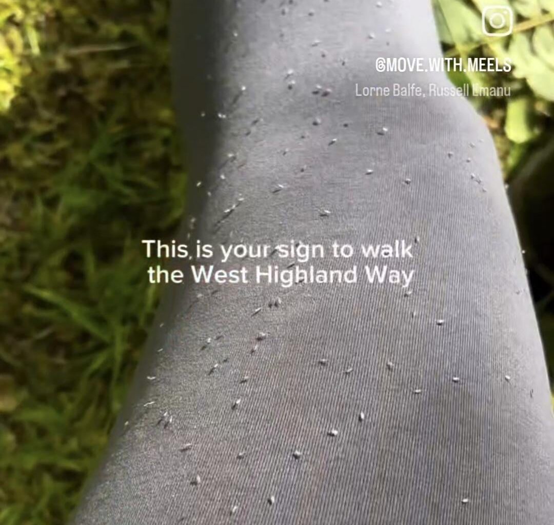 Help me! Midges, ticks