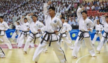 ‘Taekwondo diplomacy’ back on table as Korea seeks joint UNESCO bid with North