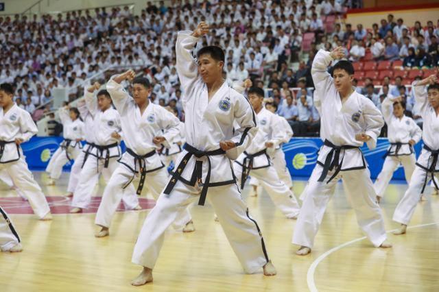 ‘Taekwondo diplomacy’ back on table as Korea seeks joint UNESCO bid with North