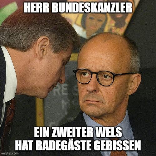 Ihr seid alle Amateure. So nämlich.