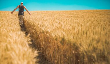 Giovani agricoltori, foto Pexels di Pixabay.com