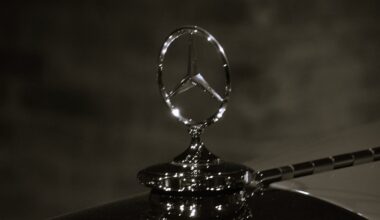 Officials can drive anything – as long as it's quite large, powerful and has a self-cleaning, rear-facing camera / Article