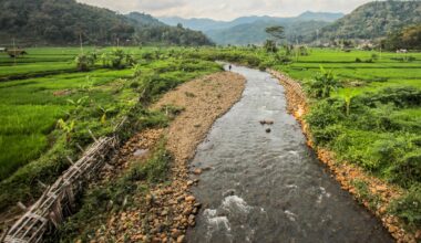"Although there are already biological methods ... the effectiveness and cost efficiency remain challenges."