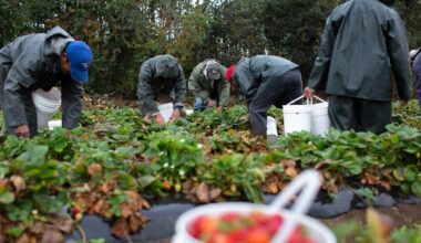 Migrant worker calls proposed spike in housing cost payroll deduction 'wickedness'