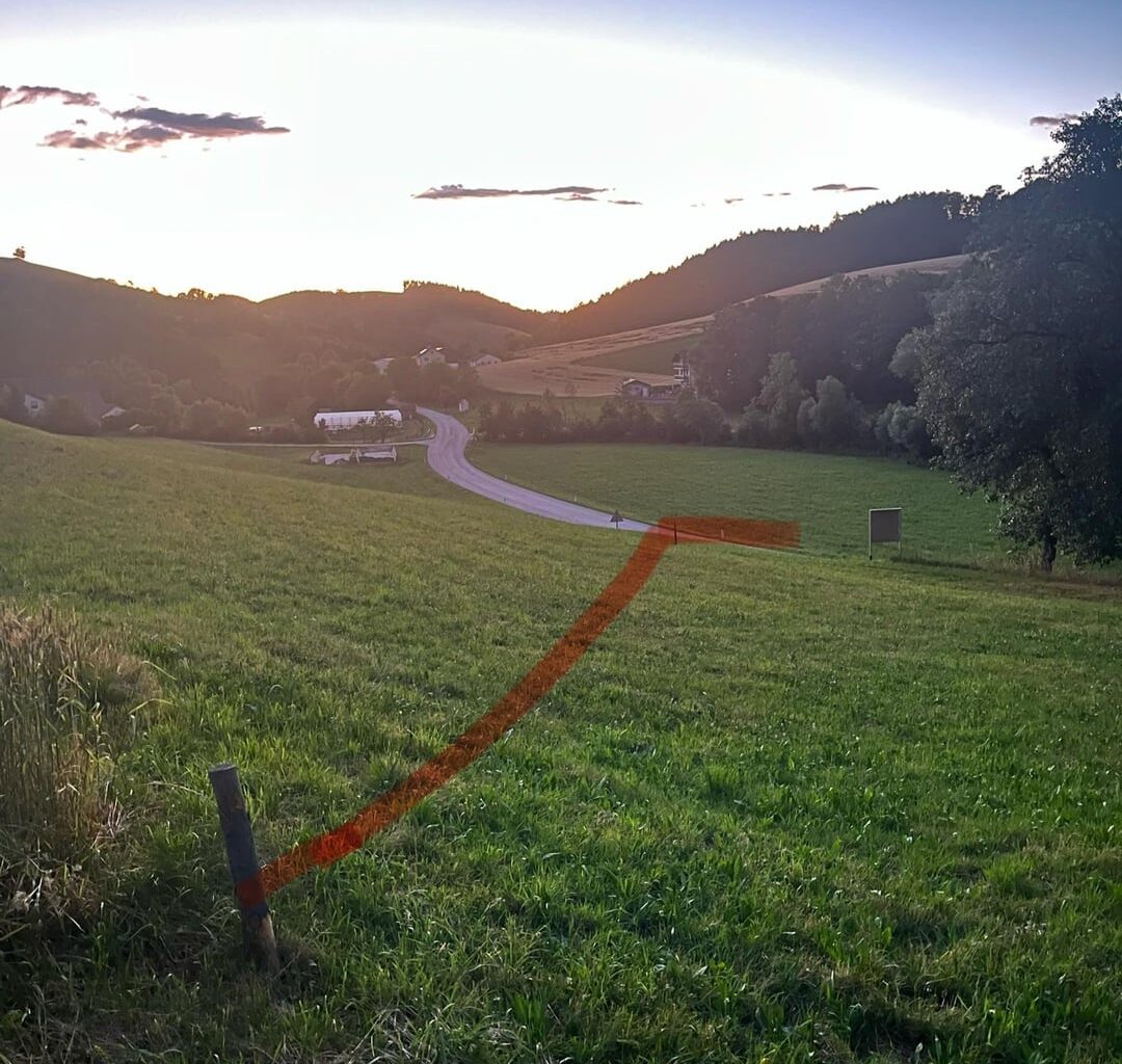Welche Pflanze(n) als Hecke? am liebsten heimisch und mit Blüten in der Bienenzeit