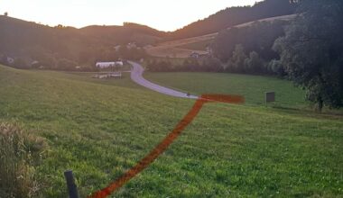 Welche Pflanze(n) als Hecke? am liebsten heimisch und mit Blüten in der Bienenzeit