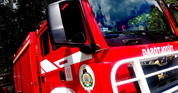 elszabadultak az állatok, árokba csúszott egy kamion rakománya