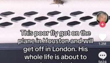 Welcome to London