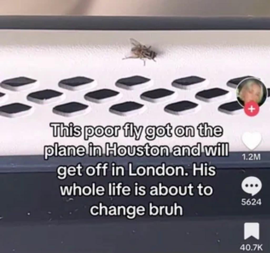 Welcome to London