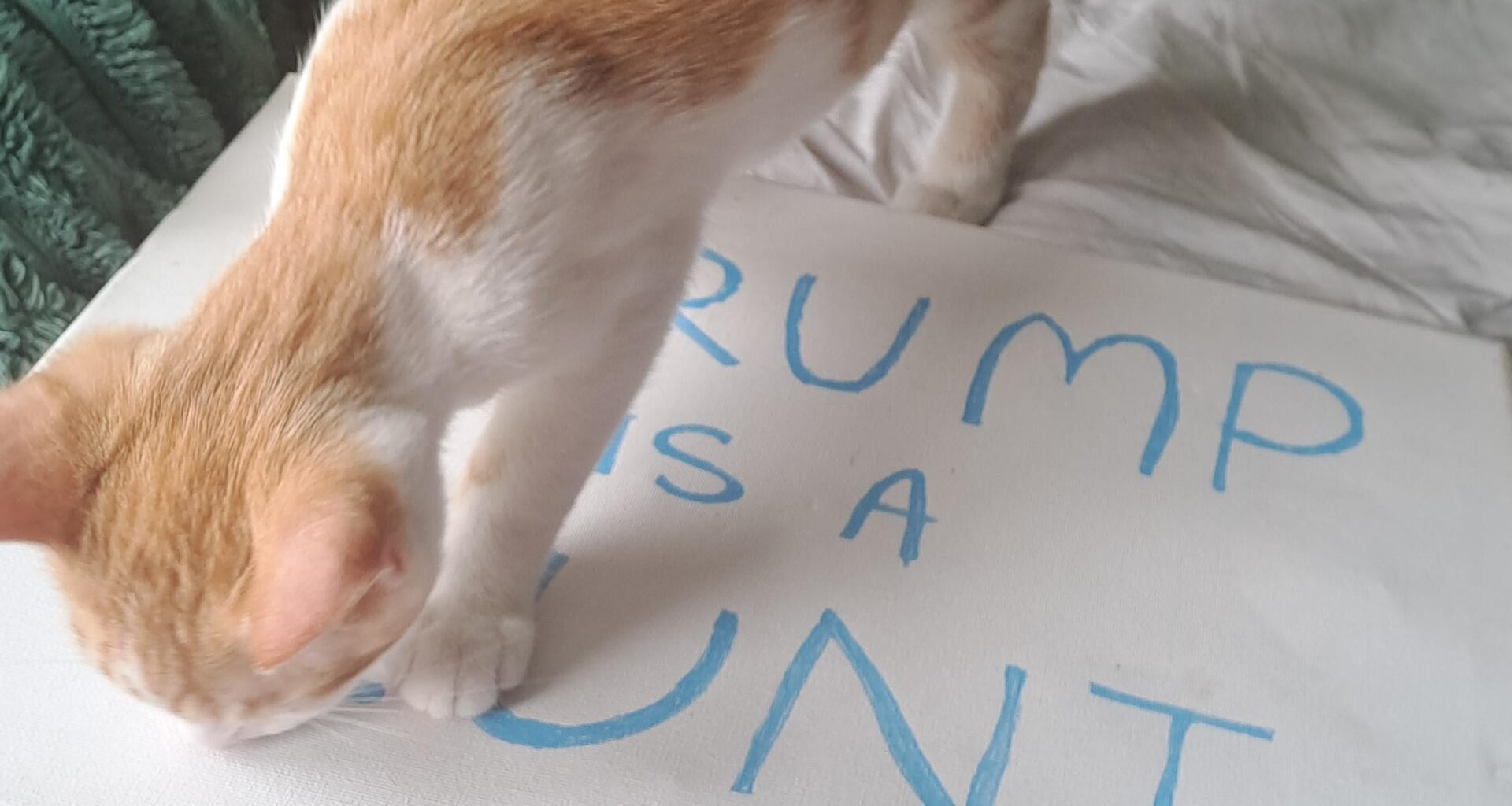 Lift needed to protest Donald Trumps visit from Perthshire