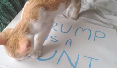 Lift needed to protest Donald Trumps visit from Perthshire