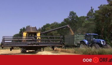 In Österreich sperren täglich neun Bauernhöfe zu