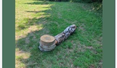 Legetårn fjernet – men børnene skal da ikke snydes!