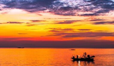Oceans hit unprecedented boiling point in 2023: Marine heat waves blanketed 96% of the planet's ocean surface, lasting four times longer than historical averages in what scientists call an unprecedented event.