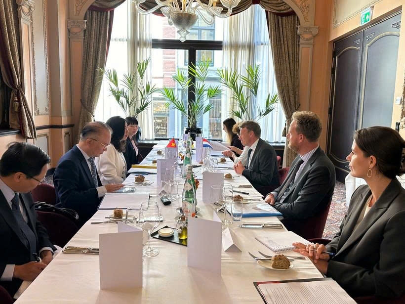 vietnam, netherlands hold first deputy-ministerial political consultation picture 1