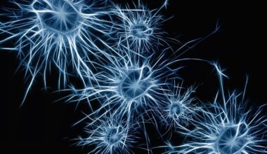 neurons-1773922-1280