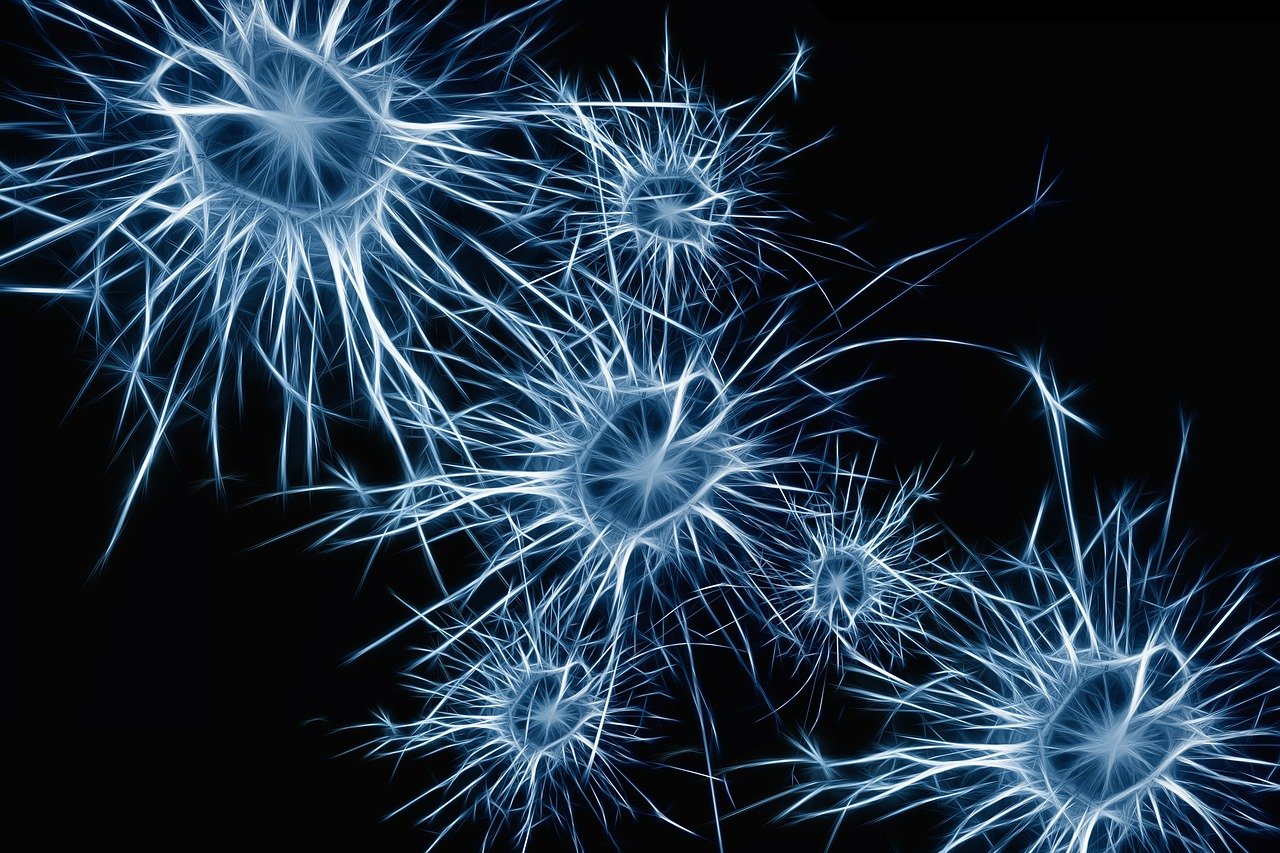 neurons-1773922-1280