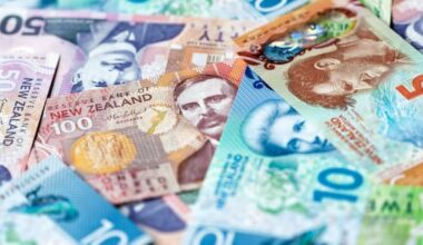 Auckland man first in NZ sentenced over possession of tax evasion software