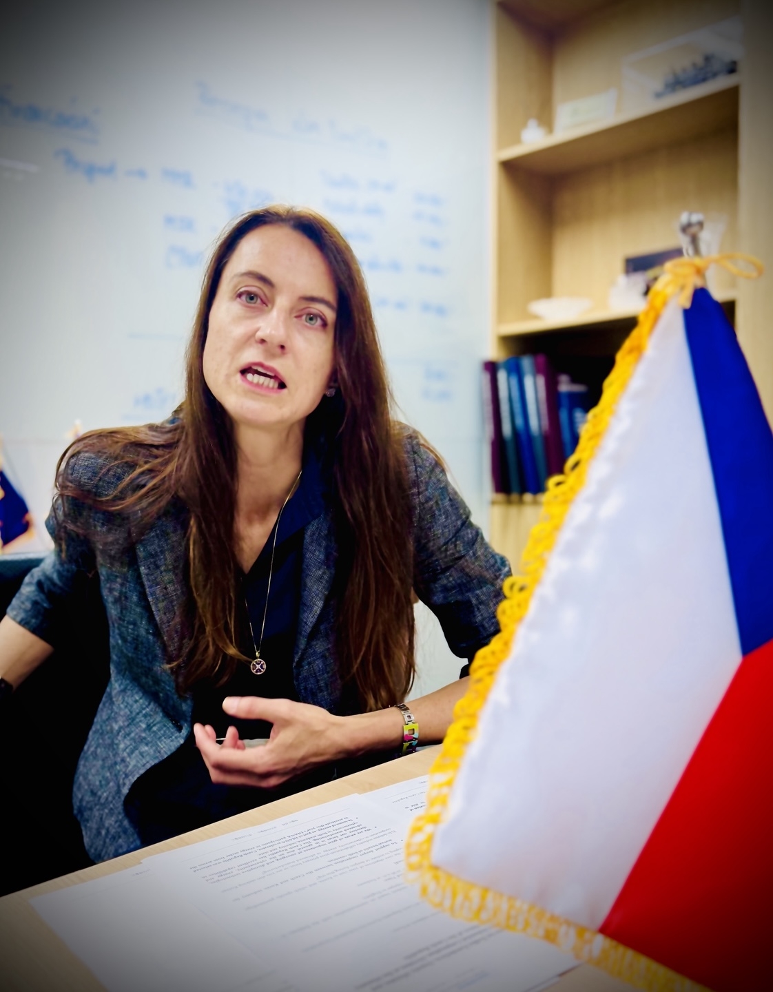 Radka Konderlova, deputy minister and director general of the Industrial Cooperation Division at the Czech Republic's Ministry of Defense, speaks in an interview with The Korea Herald on July 9. (Sanjay Kumar/ The Korea Herald)