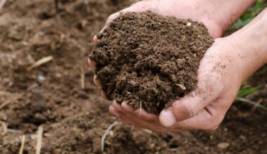 2025/07/nitrogen-soil.jpg