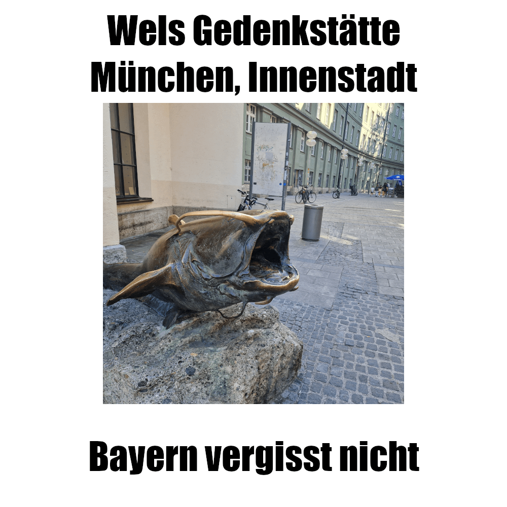 ich🐟iel