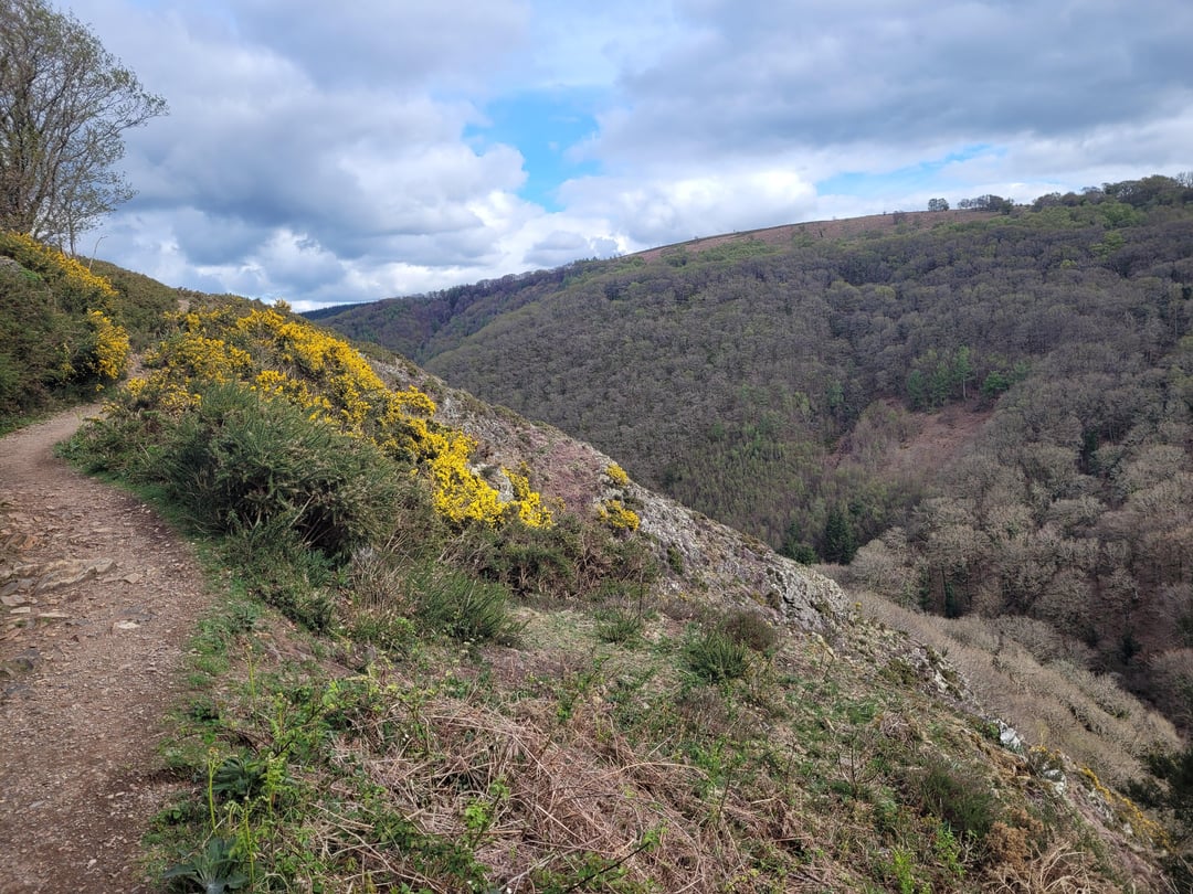 Dartmoor