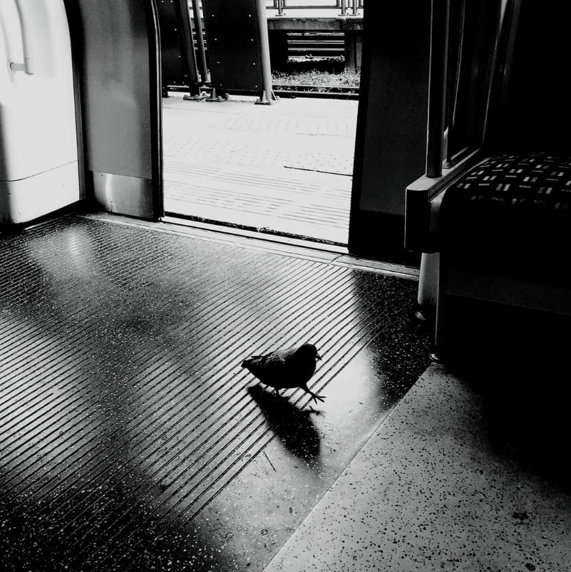 Just a small town bird, livin' in a lonely world, she took the Metro line going anywheeeere.