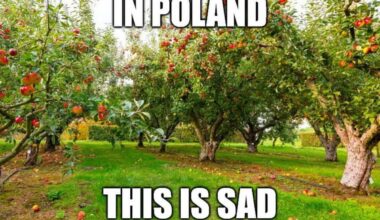 “This sad makes me happy”