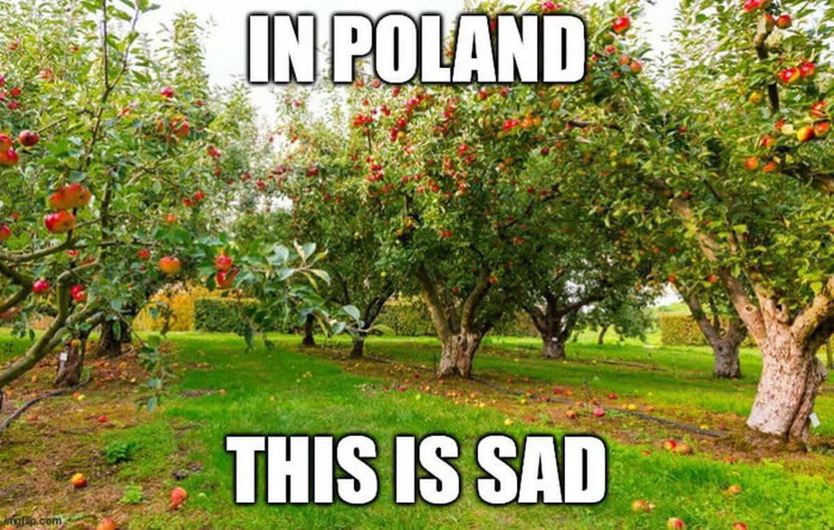 “This sad makes me happy”