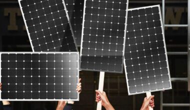 Rooftop solar is a miracle. Why are we killing it with red tape? Trump wants to end solar power—and too many blue states are helping.