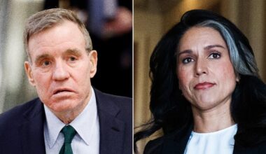 Top Dem Deflates Gabbard’s Obama ‘Coup’ Claims in Two Words