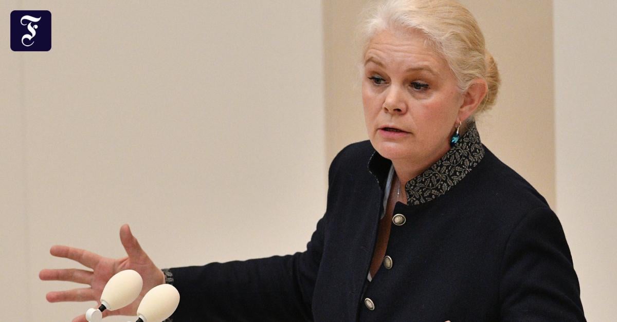 CDU-Abgeordnete: Plagiatsvorwürfe gegen Saskia Ludwig erhoben
