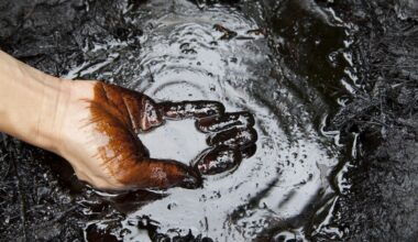 Many People Have No Idea Where Oil Actually Comes From