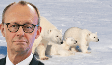 Emotionale Lügengeschichte: Russen-Propaganda erfindet Eisbären-Jagd von Merz
