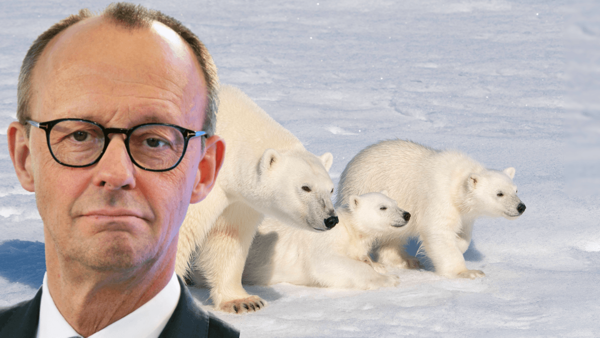 Emotionale Lügengeschichte: Russen-Propaganda erfindet Eisbären-Jagd von Merz