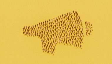 The Most Overlooked Value of Political Protest