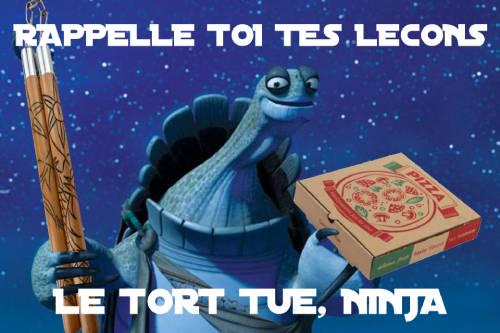 Confucius dit : kowabunga
