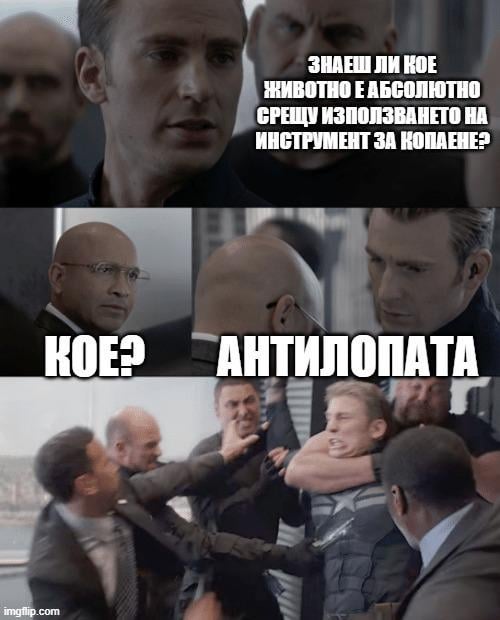 Нямам милост