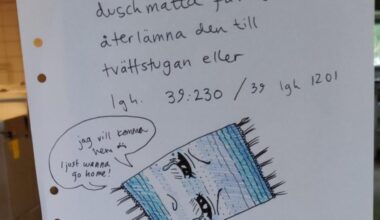 Lapp i tvättstugan från några år tillbaka