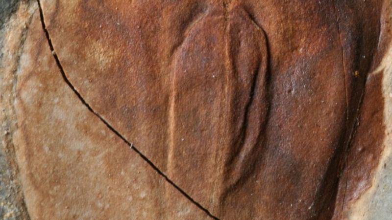 The ‘Great Dying’ wiped out 90% of life, then came 5 million years of lethal heat. New fossils explain why