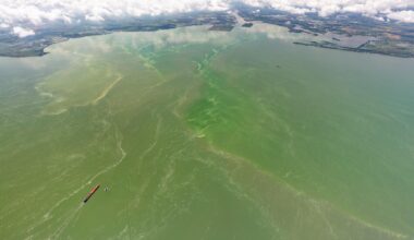 Efforts to reduce toxic algae in Lake Erie appear to be making progress. Now they face state and federal cuts. With fewer resources, researchers and advocates are still working to understand how climate change will impact their efforts to contain annual cyanobacteria blooms.